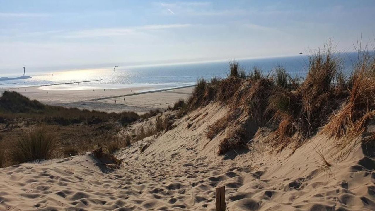 AreaSummer20KM AreaSummer20KM